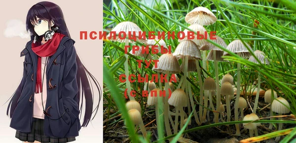 спайс Алексеевка