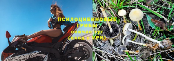 каннабис Алексин